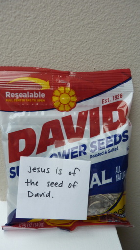 Jesus Seed of David